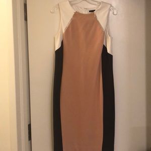 Ann Taylor Work Dress